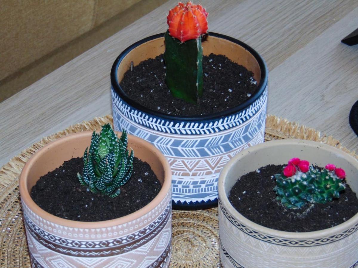 スパルティThe Orange Cactusアパートメント エクステリア 写真